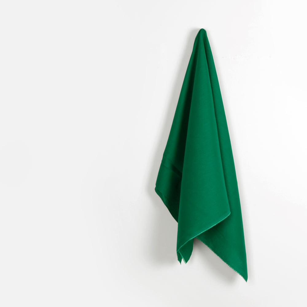 Plain Weave Linen - Coriander